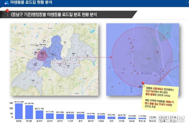 1. 천안시 동남구 야생동물 로드킬 현황 분석.