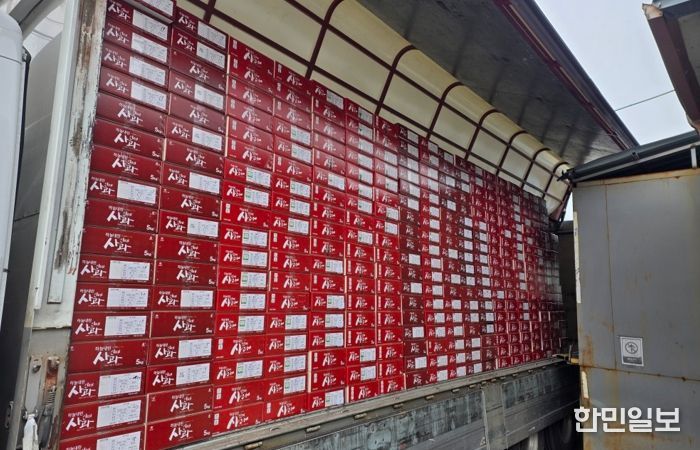 인제사과, 공영홈쇼핑 3차 방송 35분 만에 전량 완판