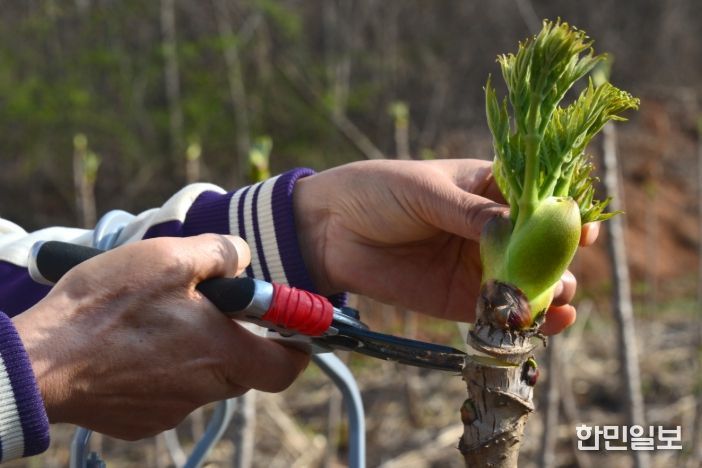 2025년도 임업·산림 공익직접지불금 지급