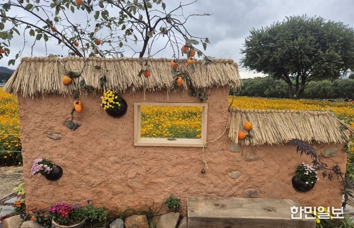 2025 대구정원박람회 전시 당시 사진