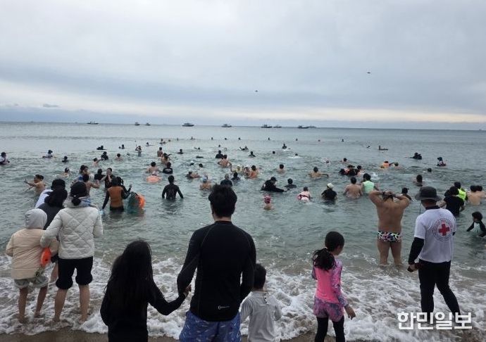 제27회 서귀포 겨울바다 국제펭귄수영대회