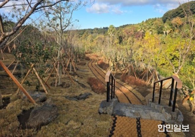 엉또공원 기후대응 도시숲
