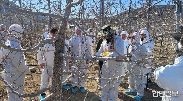 영덕군 농업기술센터가 농가 현장에서 화상병 예찰과 방제 교육을 진행하고 있다.