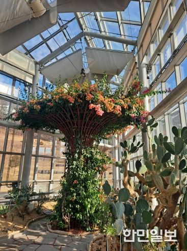 친환경생태공원, 형형색색 선인장 꽃 개화