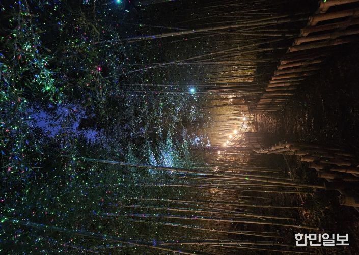 월아산 숲속의 진주, ‘다시 찾는 숲’ 도약 준비- 대나무숲길 야간경관