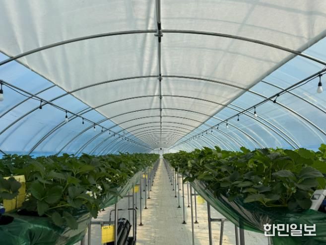 군산시, 2026년 스마트원예 분야 자체 사업 신청·접수