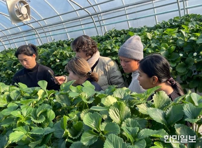 완주군, 외국인 계절근로자 현장 지원 총력