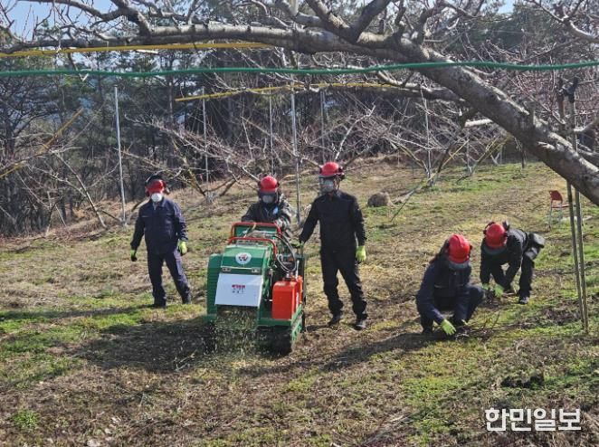보성군, 2026년‘영농부산물 파쇄지원’ 신청 접수_파쇄지원단이 벌교읍 배 과원에서 잔가지 파쇄작업을 하고 있다