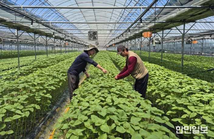 지난해 교육 모습