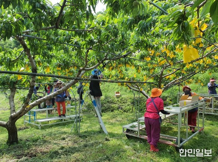 ‘2026년 여성농업인 행복바우처 지원사업