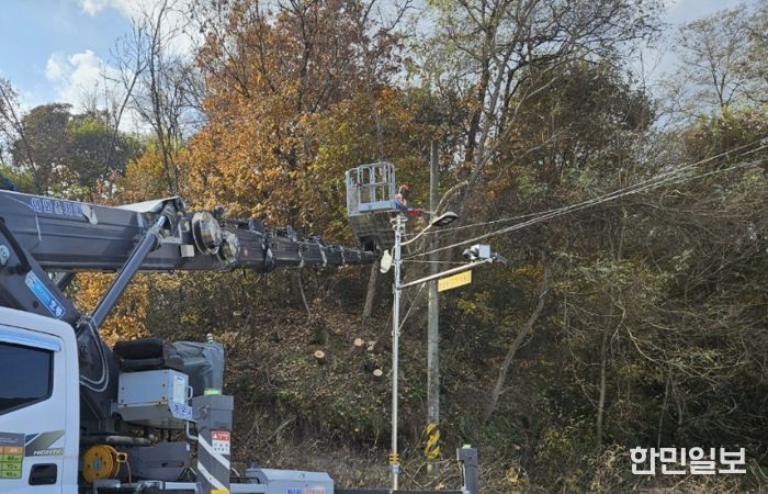 양구군, 자연재해 및 주택피해우려목 제거사업 추진