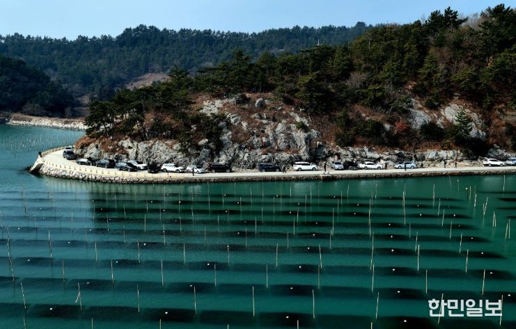 ‘장흥 매생이 양식장’ 사진명소로 각광