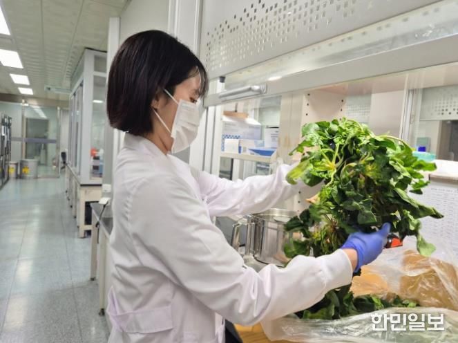 보건환경연구원 검사