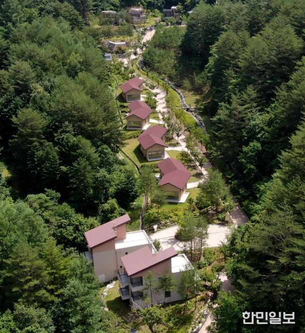 울진군 금강송에코리움, 민간위탁 운영