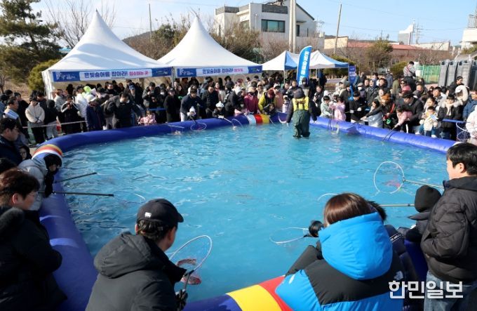무안겨울숭어축제