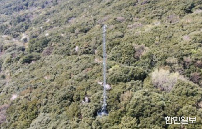 산림 플럭스타워(완도)