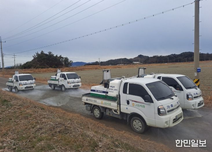 고병원성 조류 인플루엔자(AI) 차단방역 총력 대응