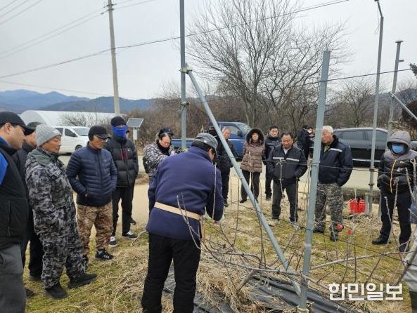 지난 23일 곡성군 겸면에 소재한 농가에서 사과 다축 동계전정 현장 교육이 진행되고 있다.