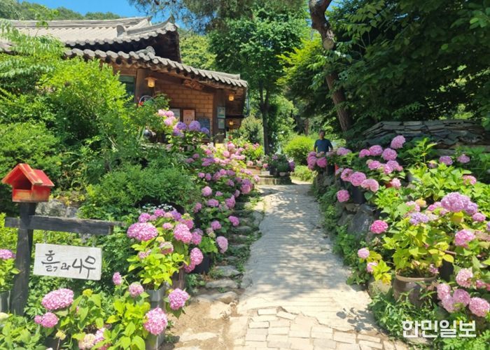 남양주시, 치유농업 경쟁력 확보…우수시설 인증 2곳 성과