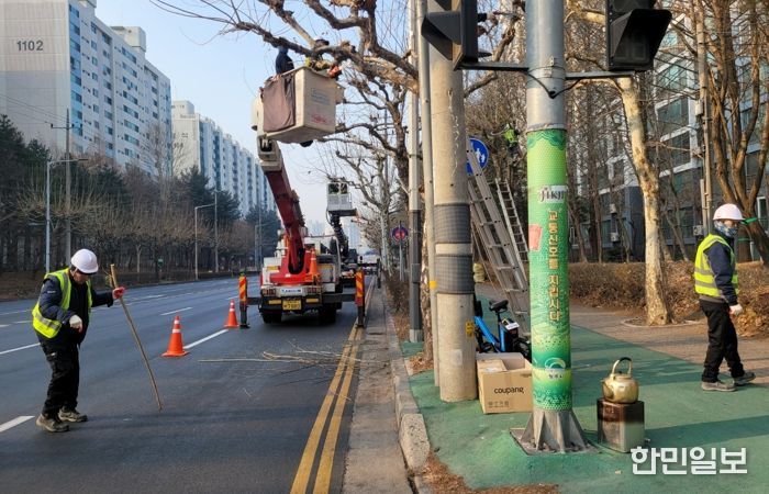 “보행·교통 안전 강화” 청주시, 도로변 가로수 정비 추진