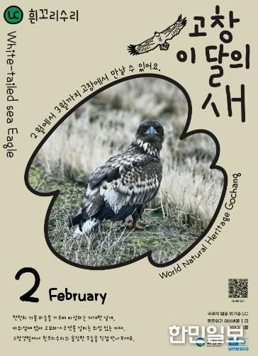 고창군, 2월 ‘고창갯벌 이달의 새’로 ‘흰꼬리수리’ 선정