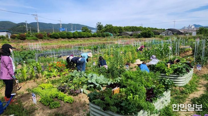 2026년 도시농업 기초반, 전문가반 교육생 모집