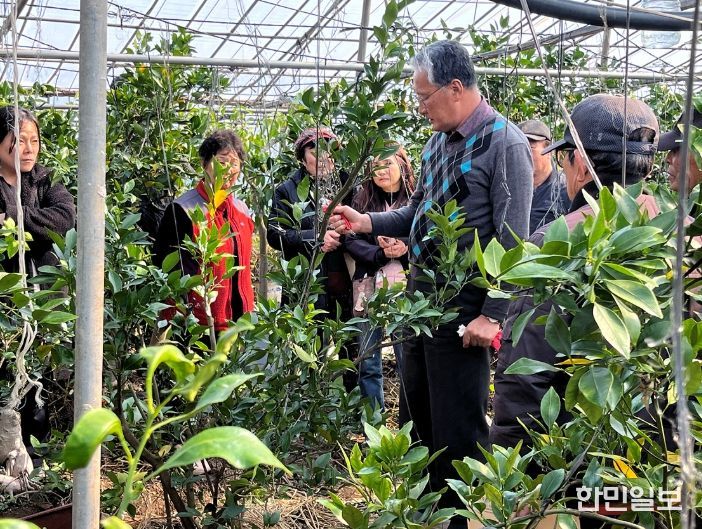 여수시, 고품질 과실 생산을 위한 정지·전정 현장 교육