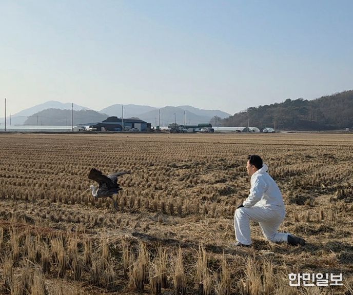 순천만 흑두루미 9마리 위치추적기 부착 성공