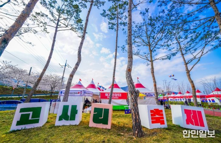 남해군 제8회 창선고사리축제