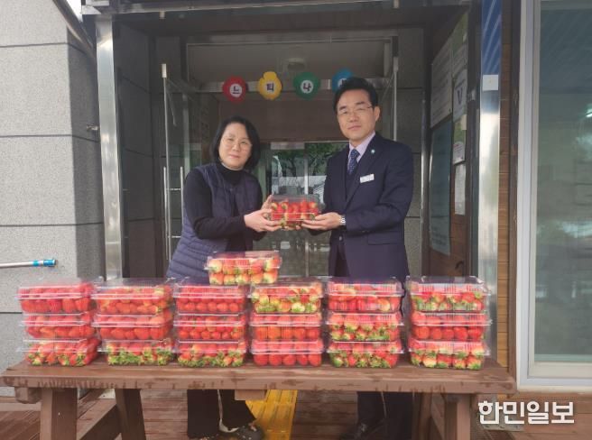 고창군 체류형 농업창업지원센터, 수확한 딸기로 따뜻한 나눔 실천