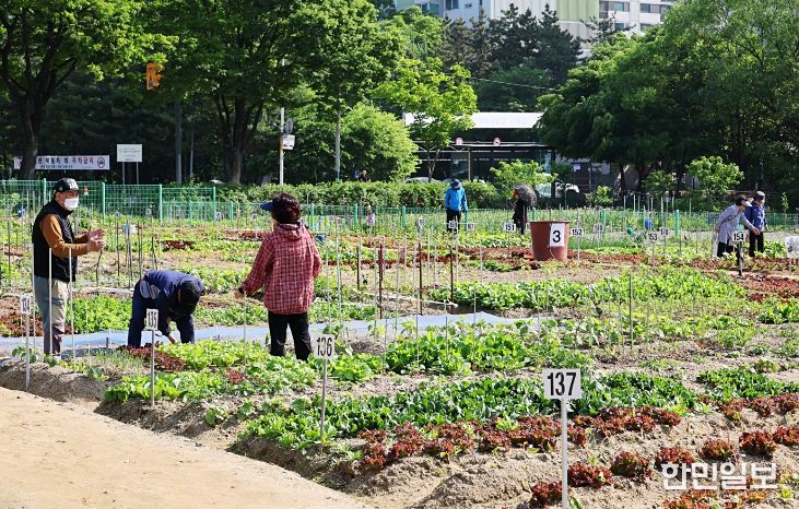 남동구, 2026년 남동 실버농장 참여자 모집(실버농장)