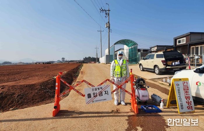 아프리카돼지열병 방역 현장