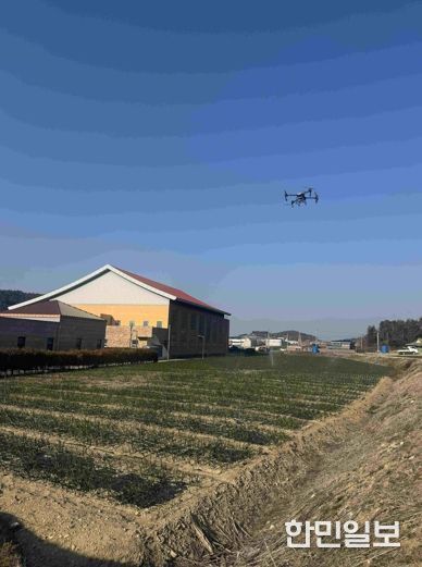 고흥 조생양파 방제 사진