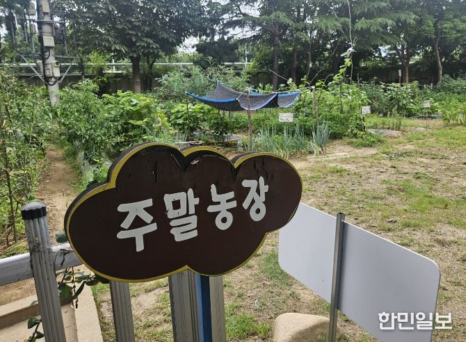 주말농장 무상 분양 실시