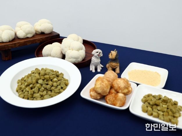 펫푸드소재개발