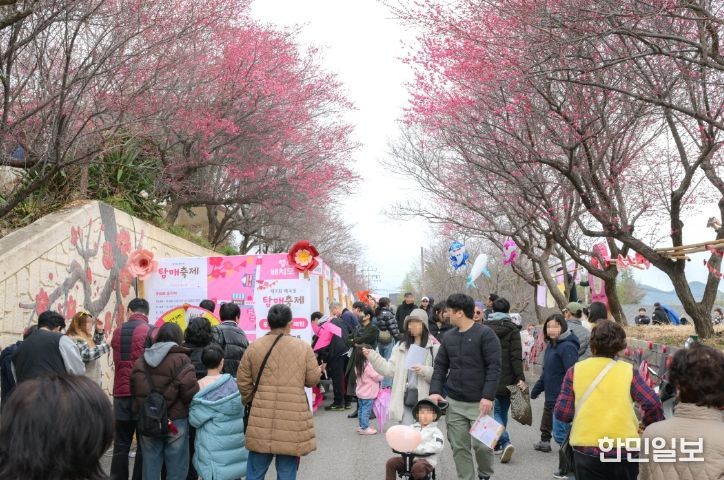 ‘제8회 매곡동 탐매축제’