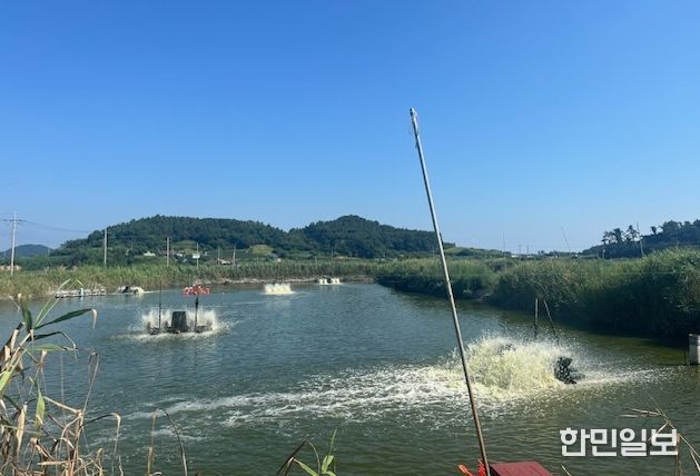 영광군, 수산양식생물 입식‧출하‧판매 신고 이행 당부