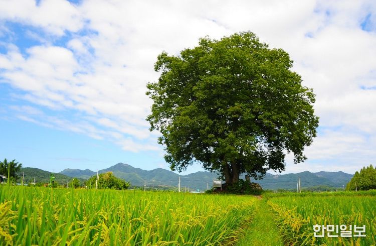 GAP 인증 확대 지원