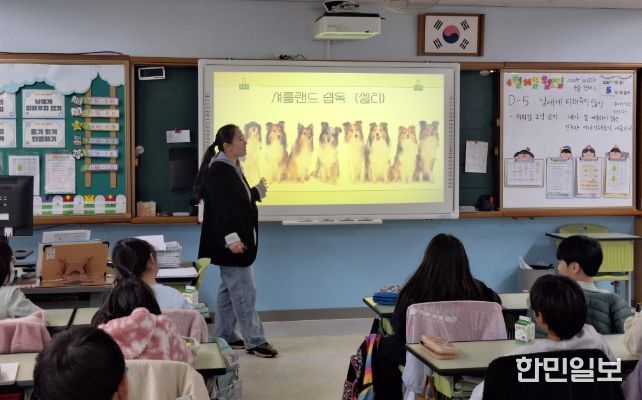 지난해 서대문구의 찾아가는 어린이 동물보호교실 모습