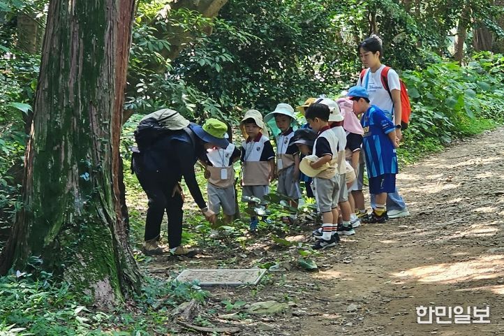 유아숲 교육 프로그램 활동