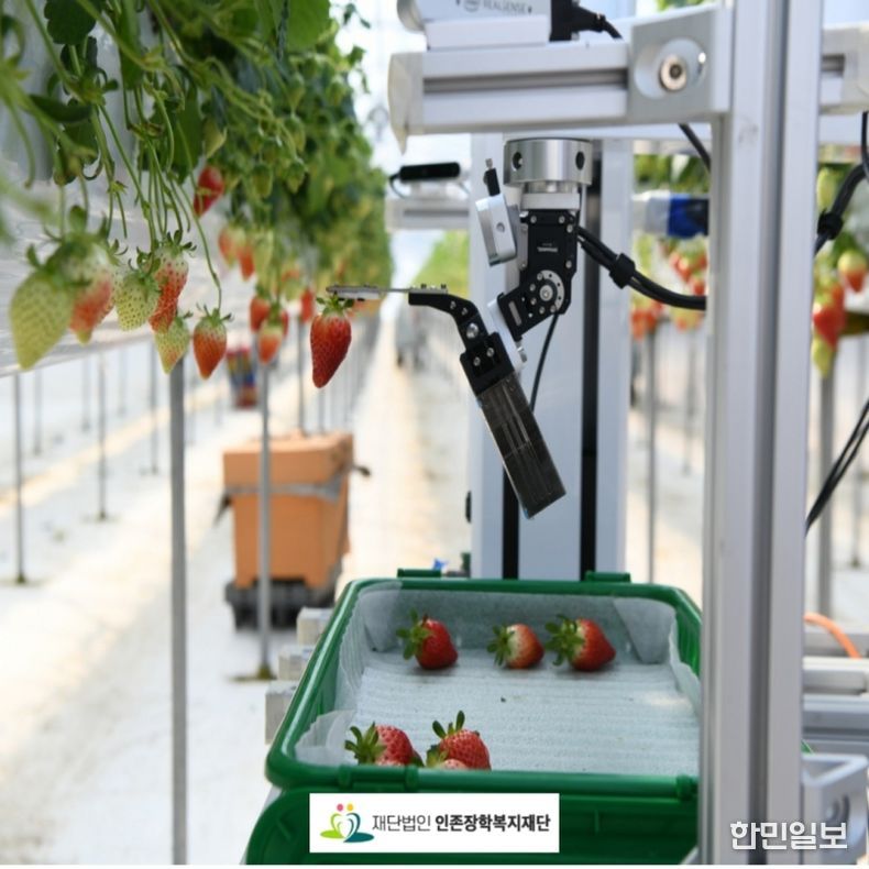 딸기 식물공장
