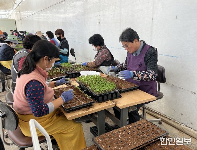 김돈곤 군수가 우량묘 가식현장을 점검하며 작업자들을 격려하고 있다.
