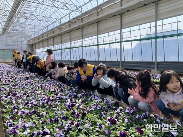 초화양묘장 견학