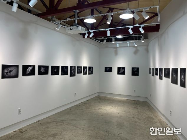 동구청년센터 전시