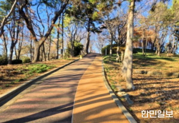 고성군, 남산공원 봄맞이 공원시설 정비 추진(코르크바닥길)