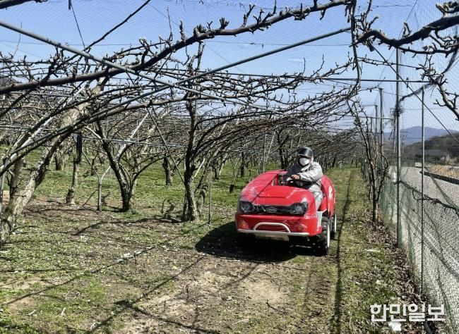 함양군, 과수화상병 예방 약제 적기 살포 당부