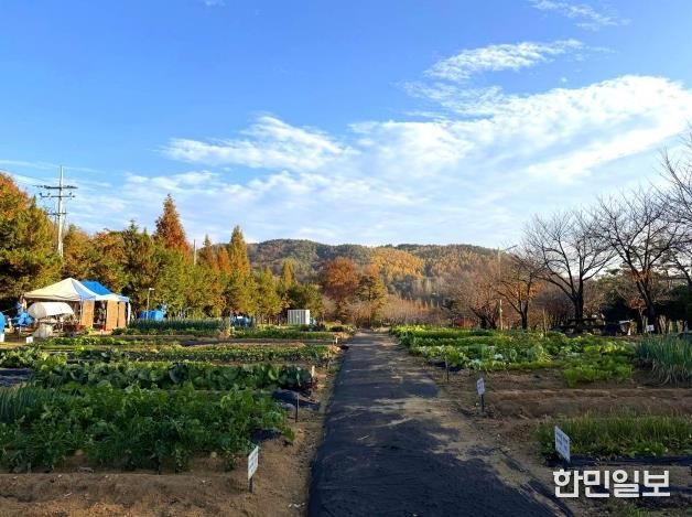 안성시, 2026년 도시농업공동체 공공텃밭 분양자 모집