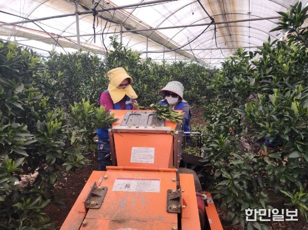 농번기 파쇄기 사용