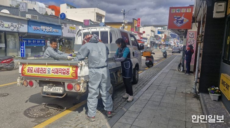 강진읍 일대 상가에 화분을 전달하고 있다.
