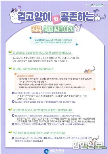 계양구, 길고양이 중성화 수술(TNR) 지원사업 추진